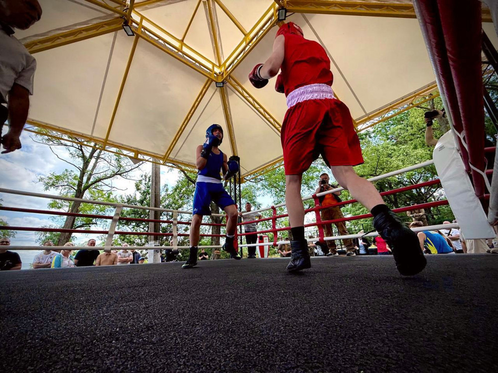 4523 image for slide