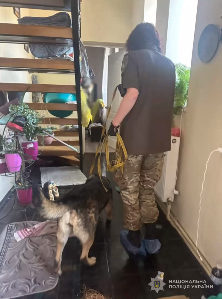 4557 image for slide