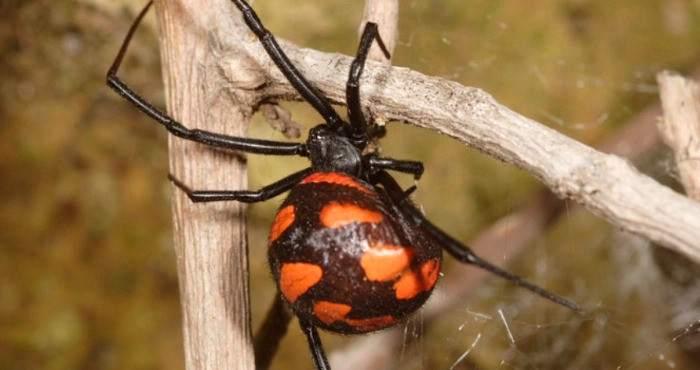 4795 image for slide