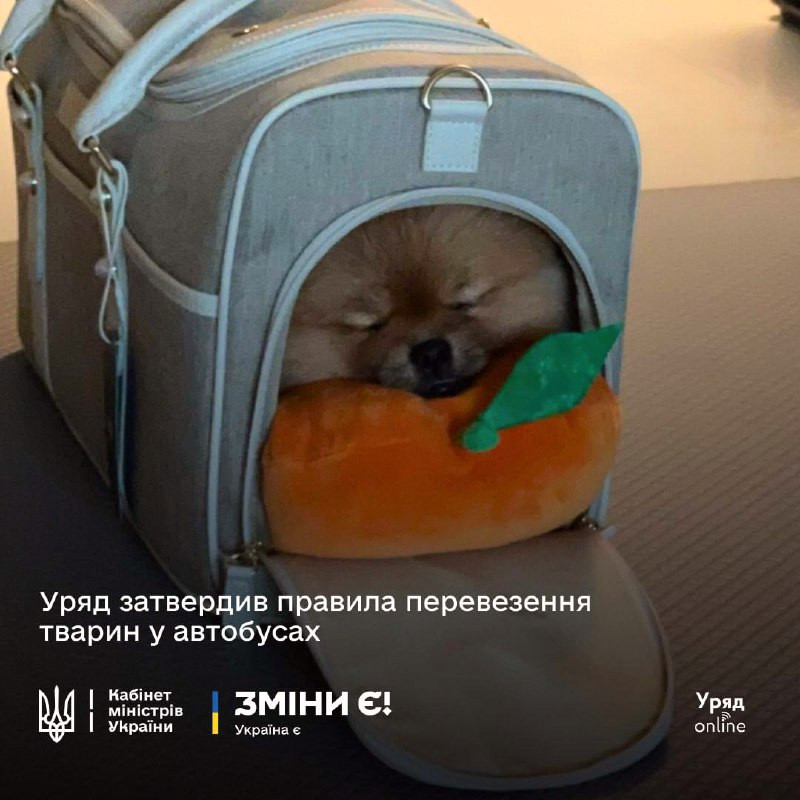 4917 image for slide