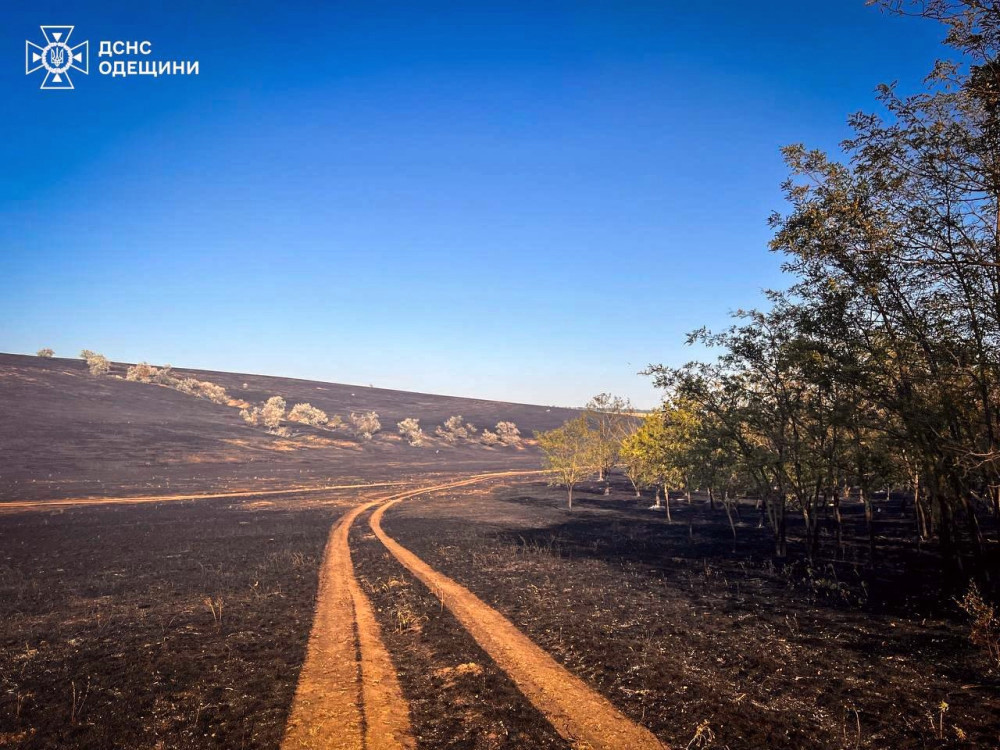 4982 image for slide