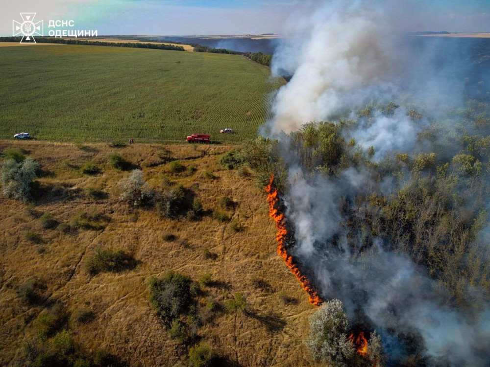 4984 image for slide