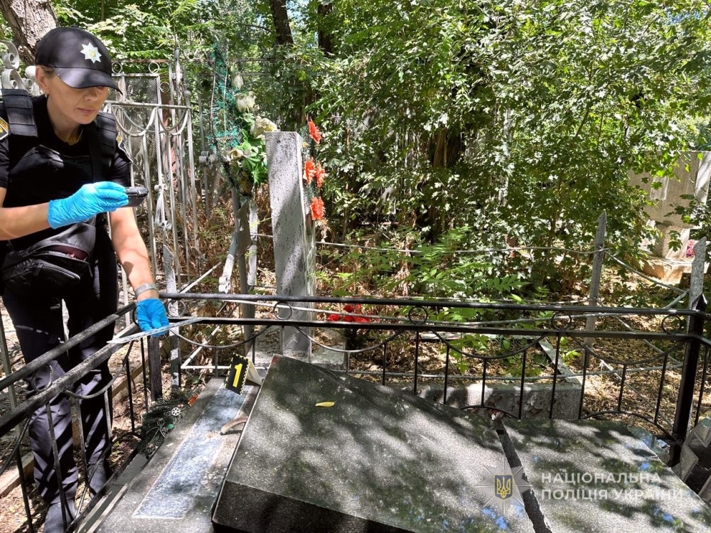 5049 image for slide