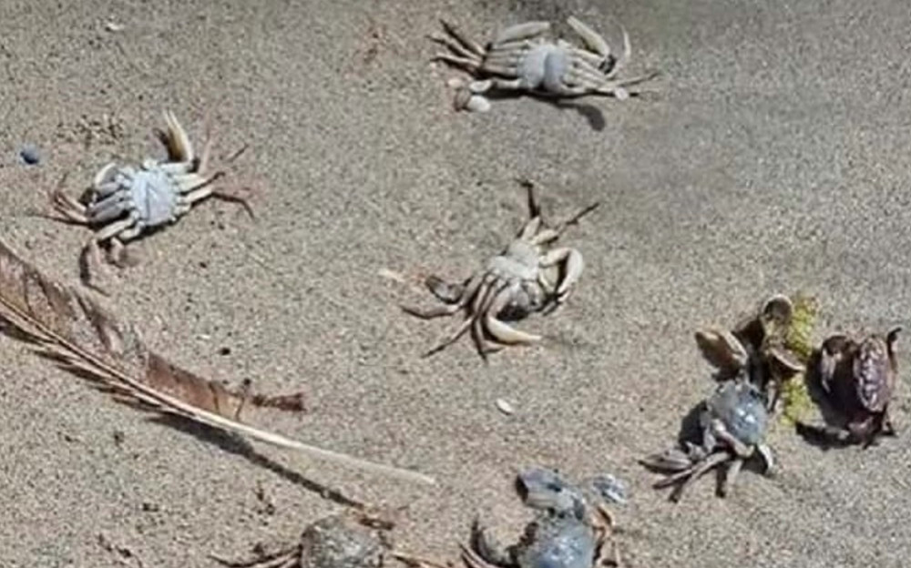 5074 image for slide