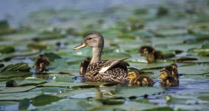 5109 image for slide