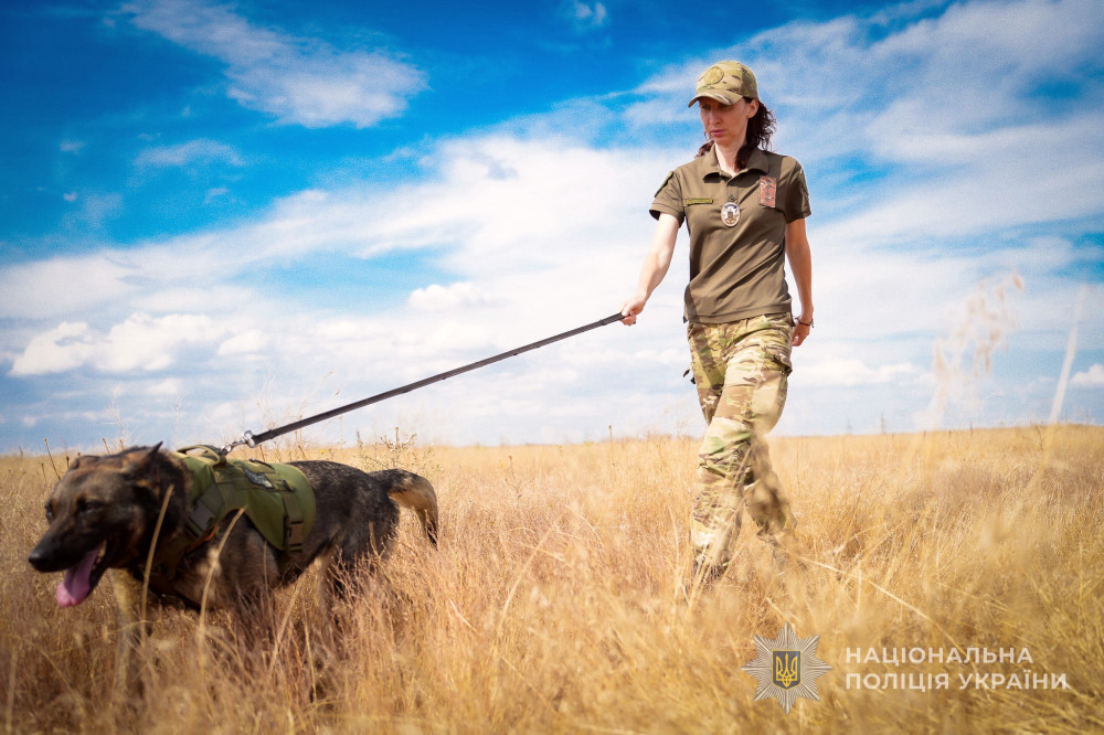 5133 image for slide