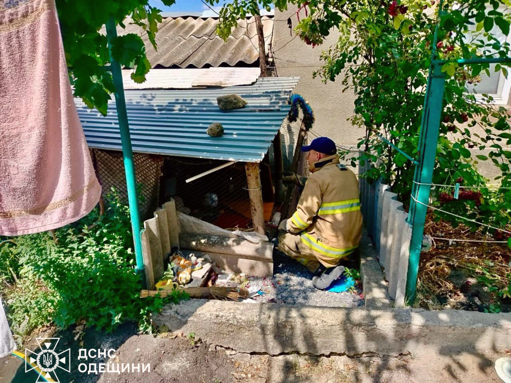 5395 image for slide