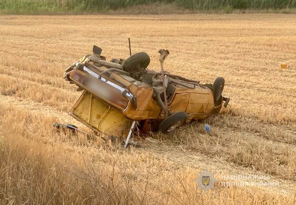 5441 image for slide