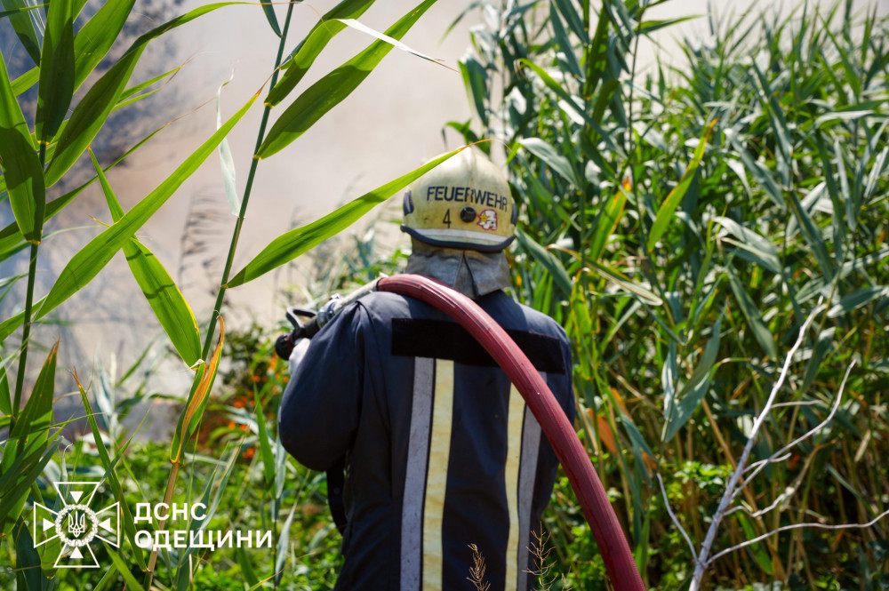 5453 image for slide