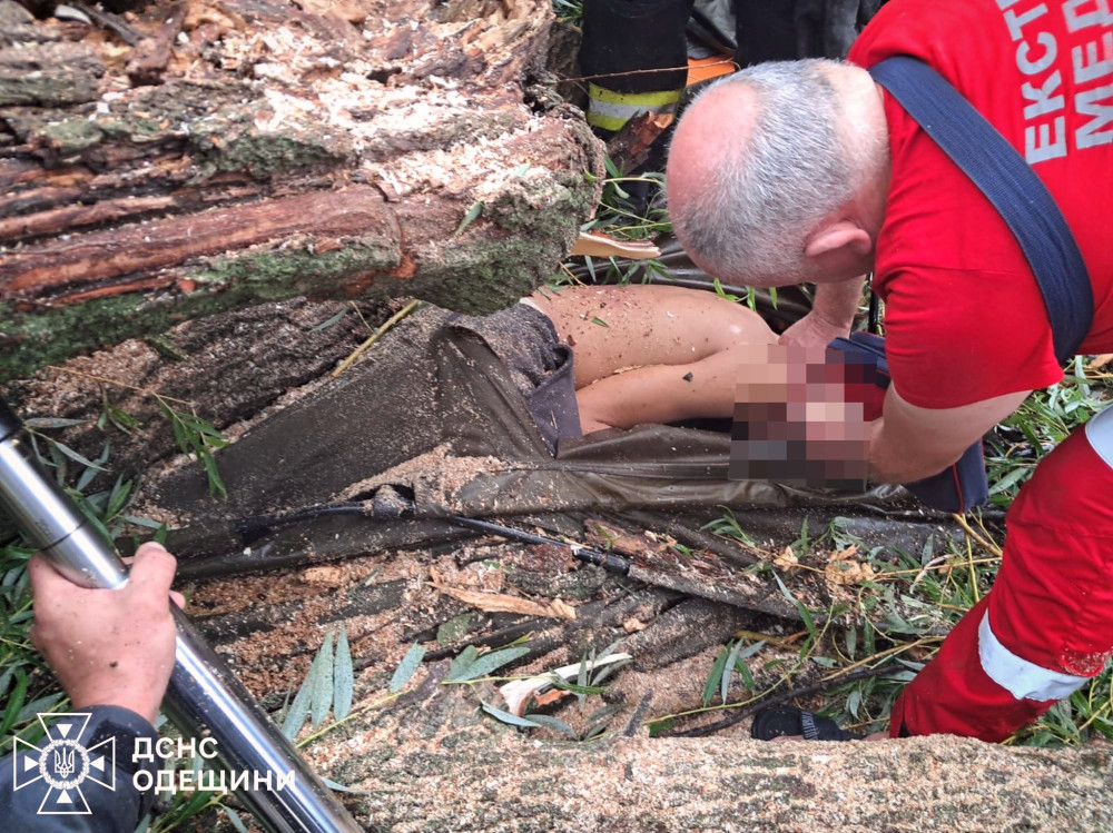 5459 image for slide