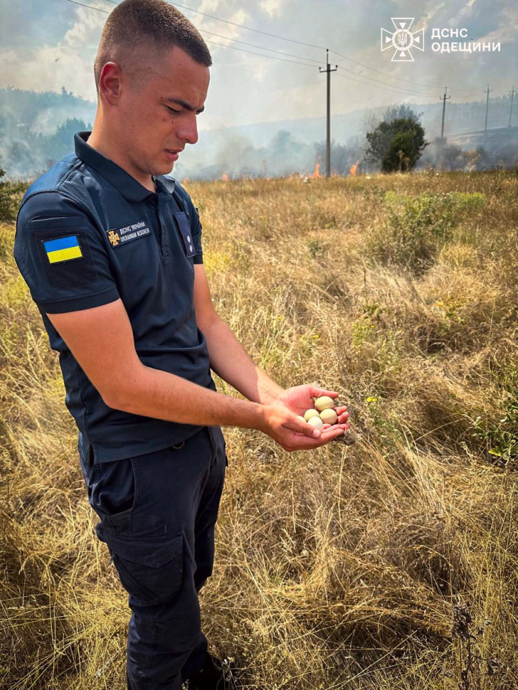 5481 image for slide