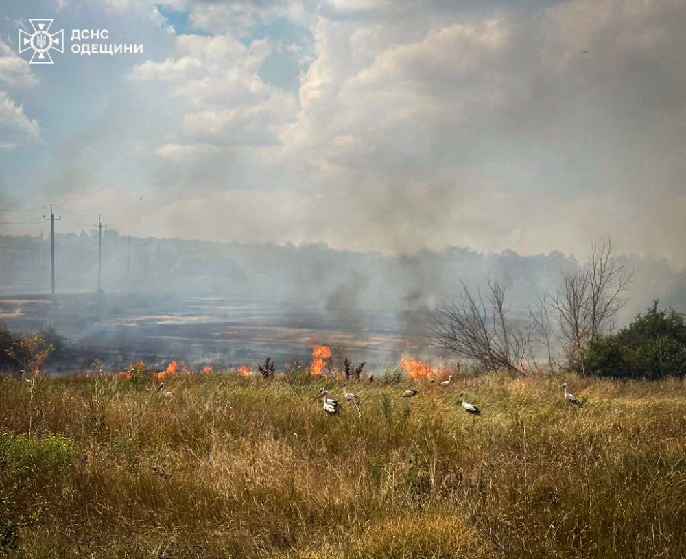 5483 image for slide