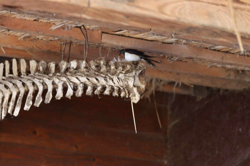 5506 image for slide