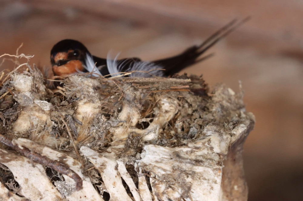 5508 image for slide