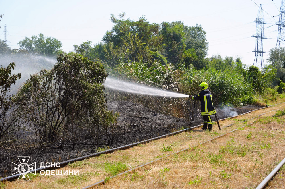 5575 image for slide