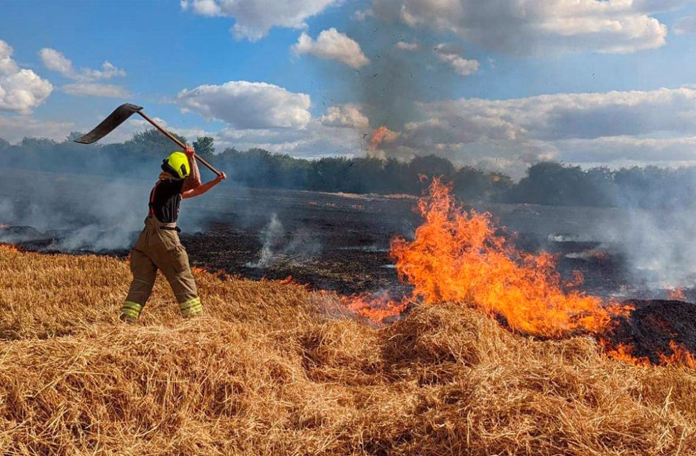 5642 image for slide