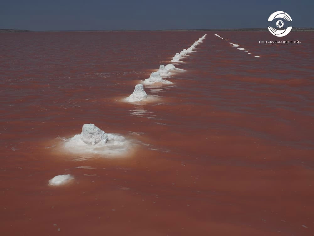 5653 image for slide