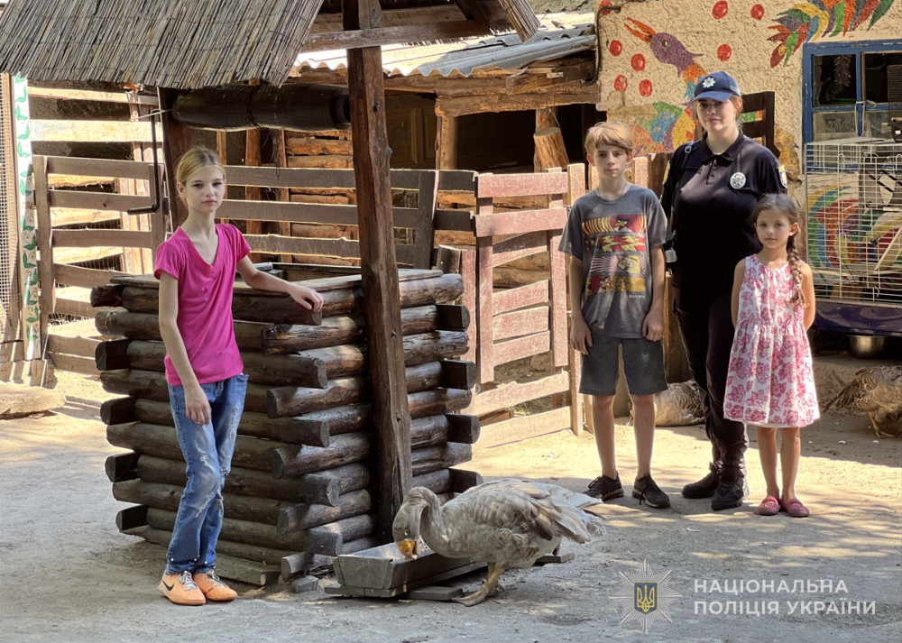 6115 image for slide