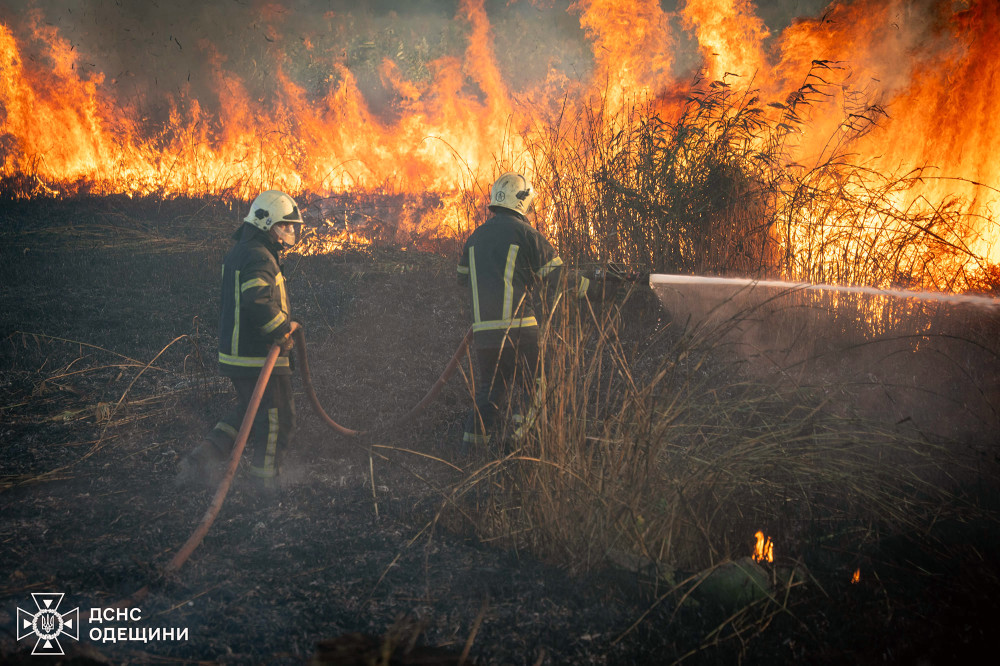 6283 image for slide