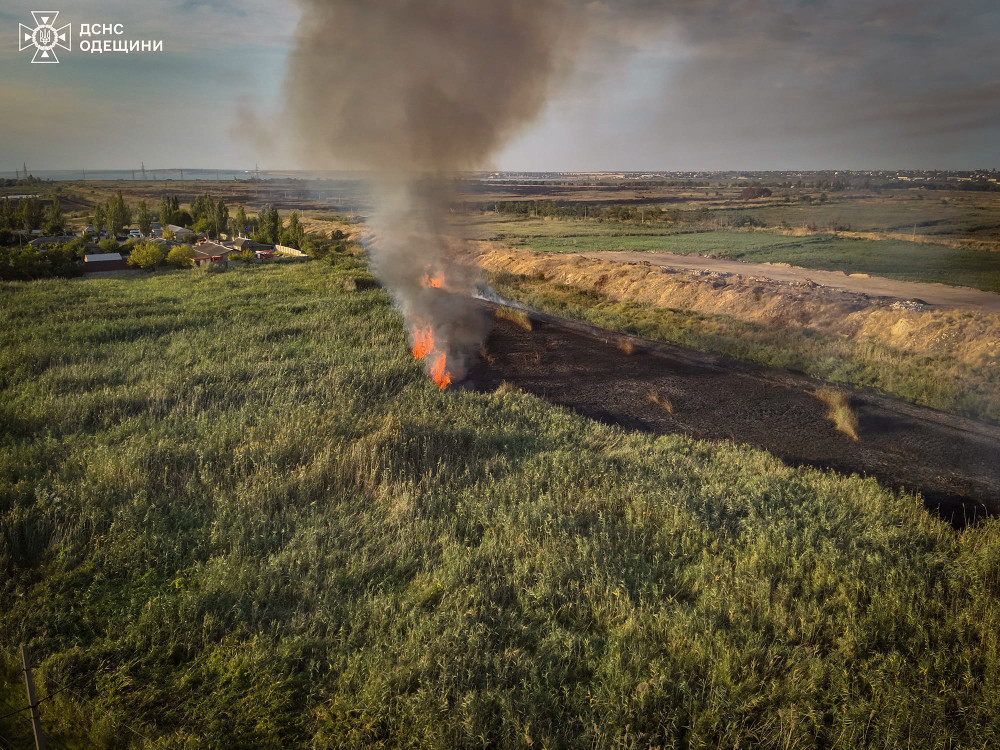 6288 image for slide