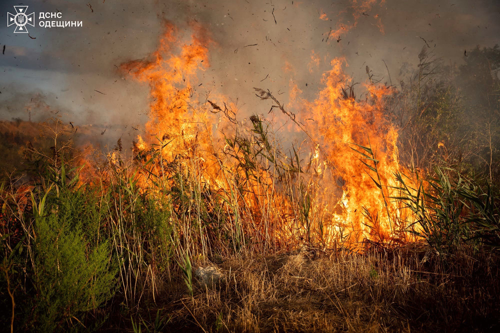 6289 image for slide