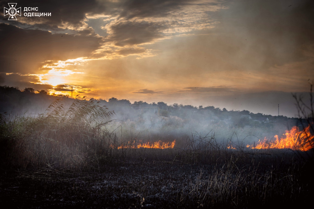 6290 image for slide