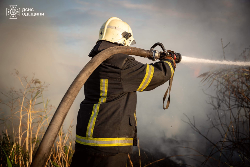 6291 image for slide