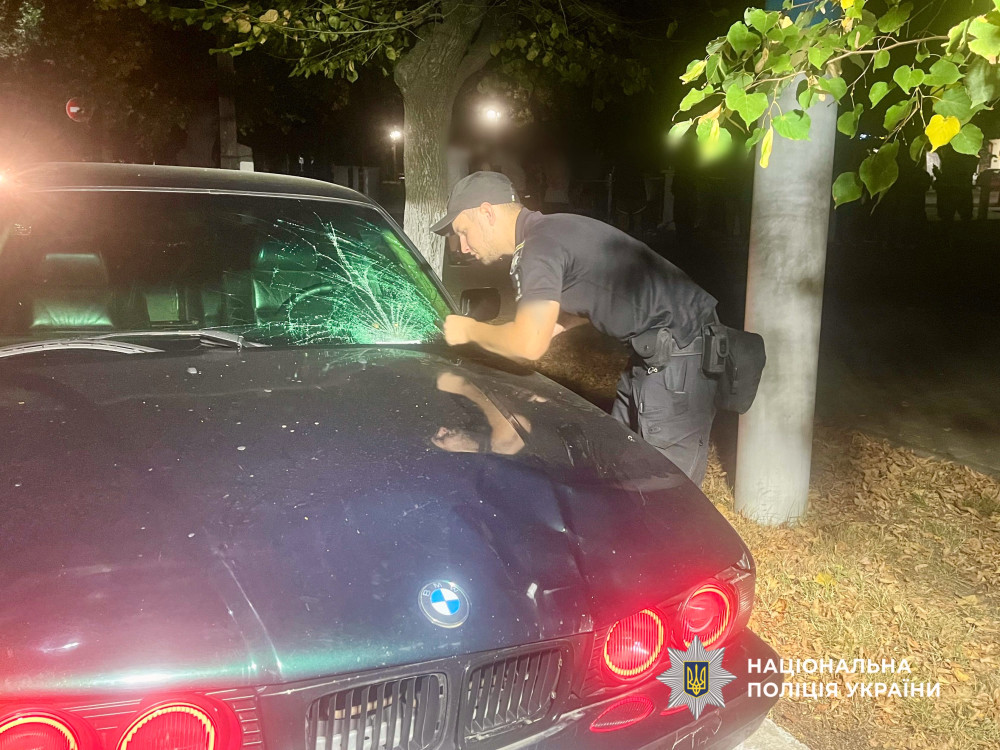 6377 image for slide