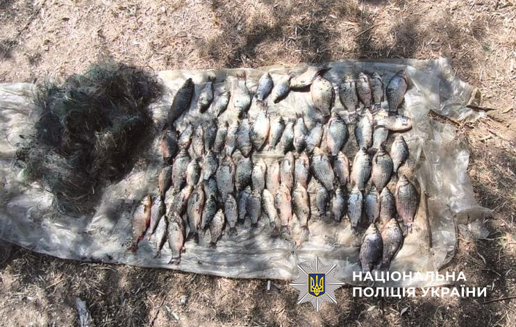 6465 image for slide