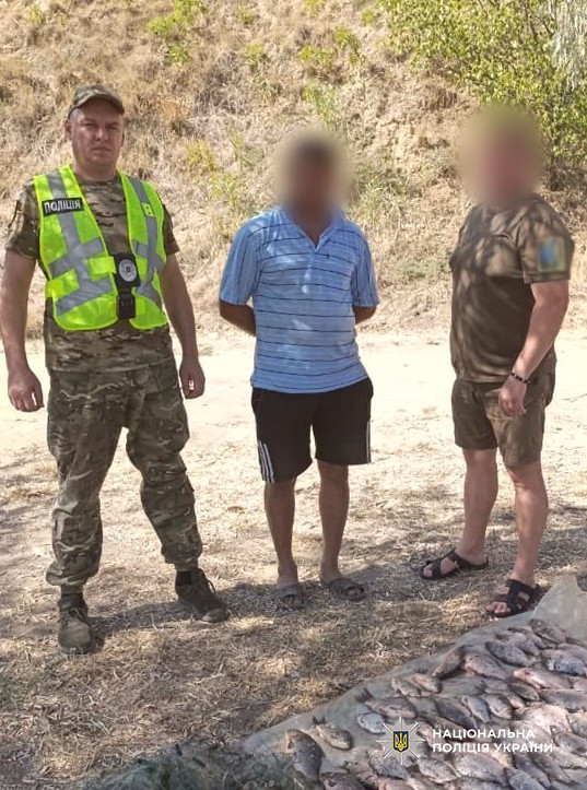 6466 image for slide