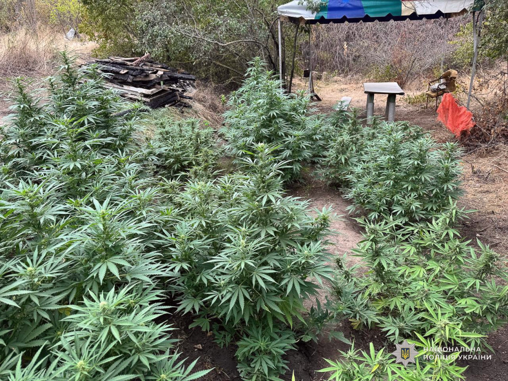 6529 image for slide