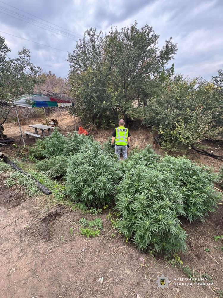 6530 image for slide