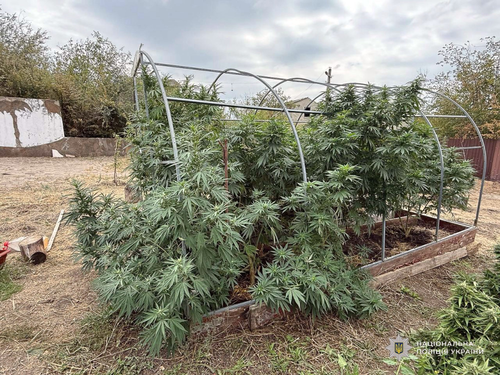 6531 image for slide