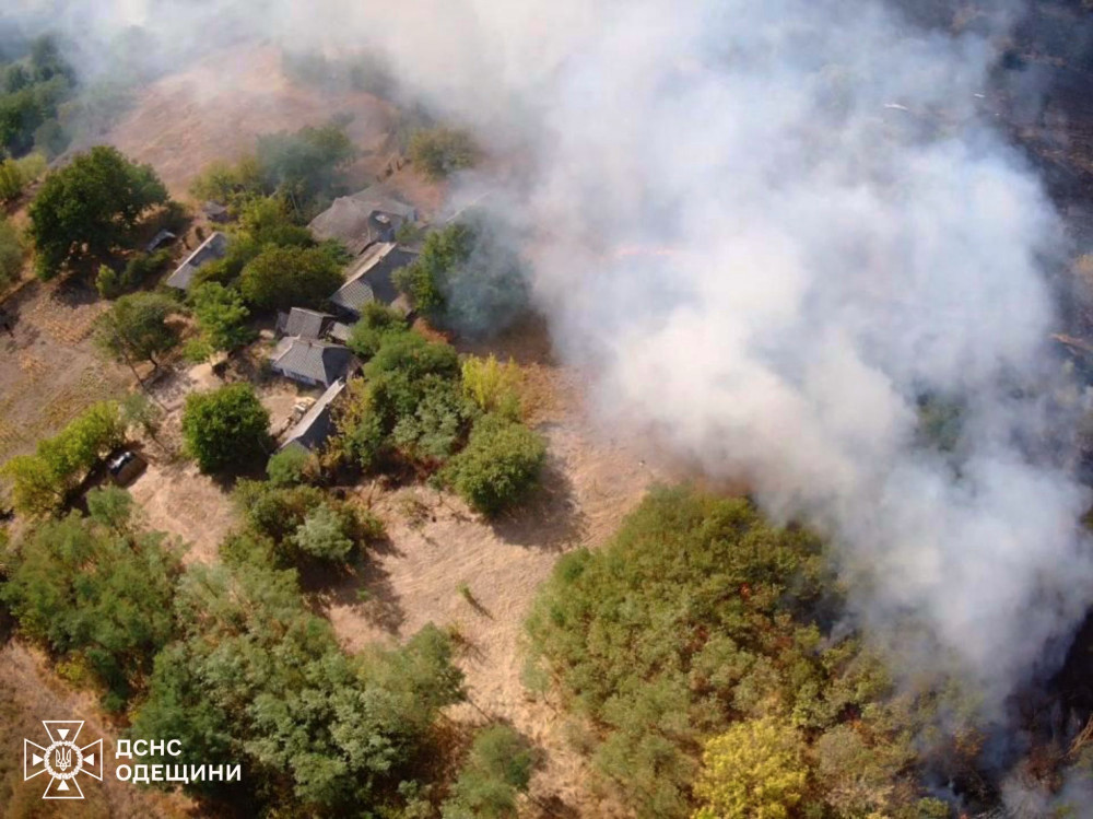 6572 image for slide