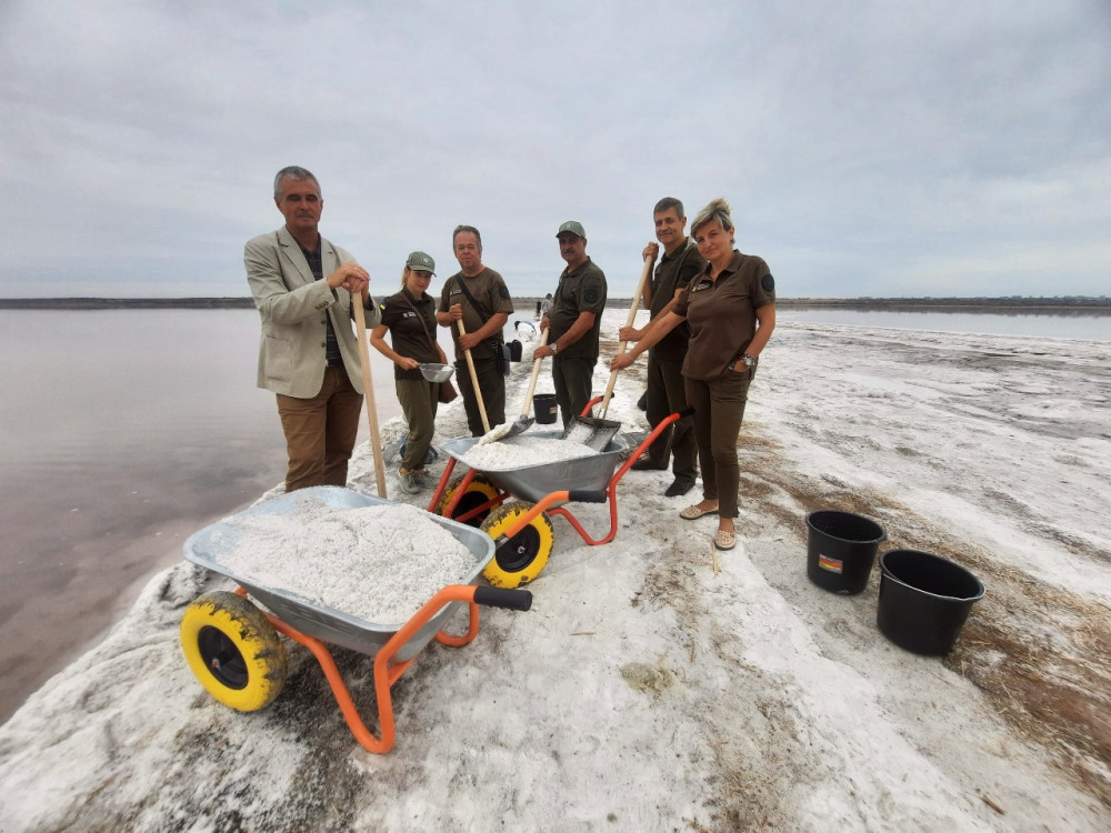 6581 image for slide