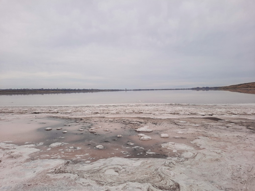 6582 image for slide