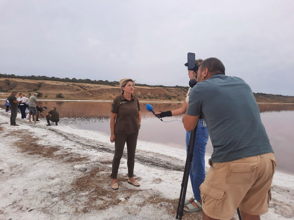 6583 image for slide