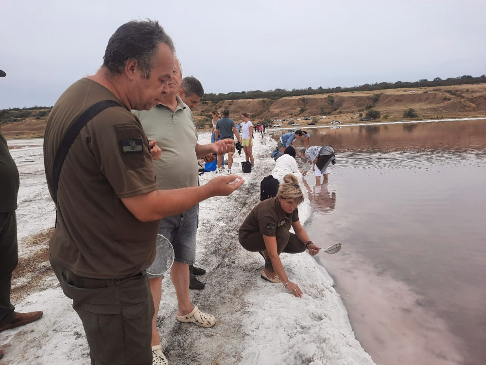 6585 image for slide