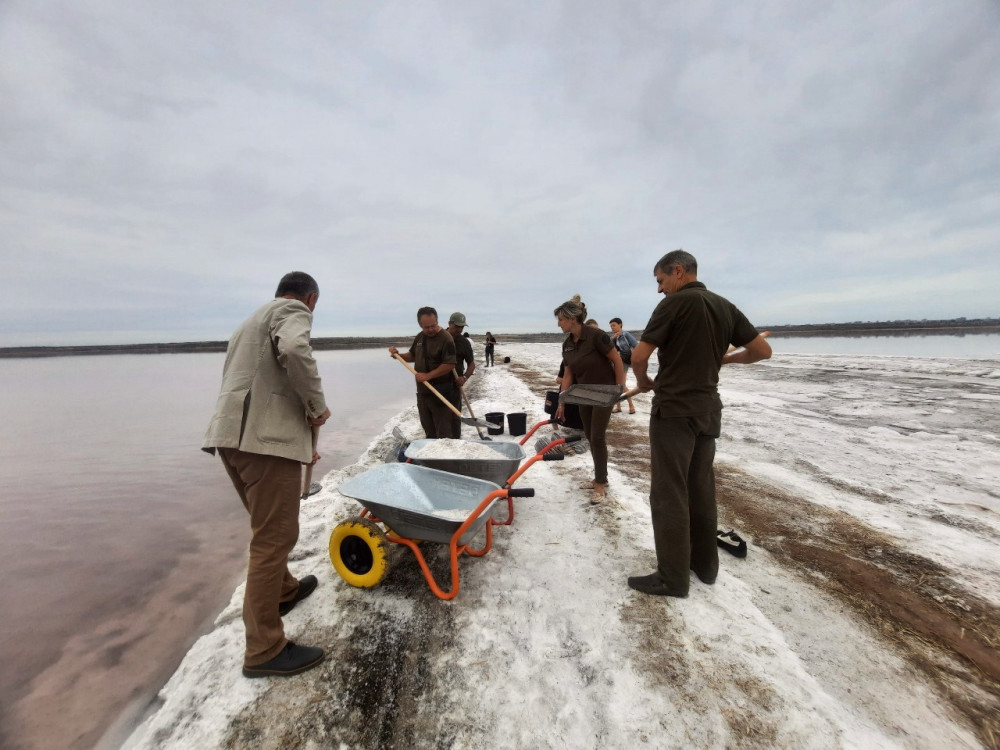 6586 image for slide