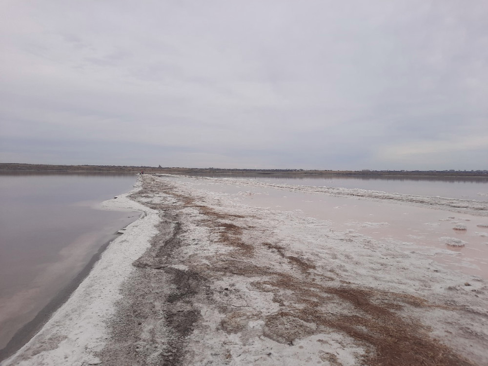 6588 image for slide