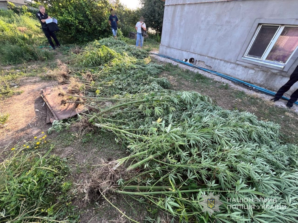 6718 image for slide