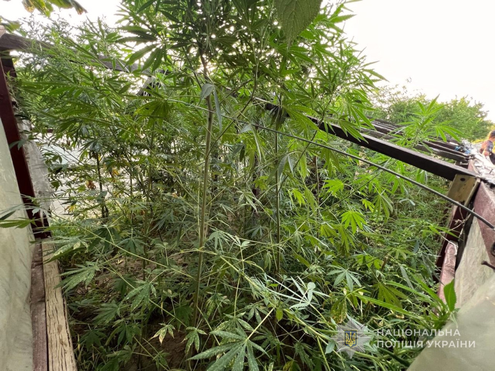 6719 image for slide