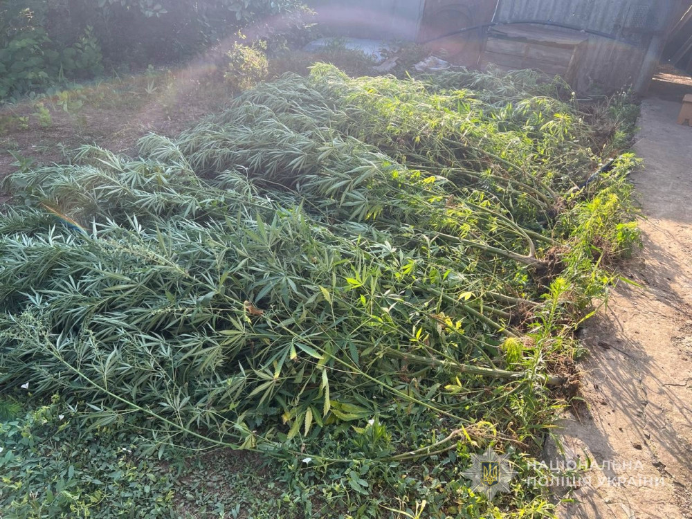 6720 image for slide