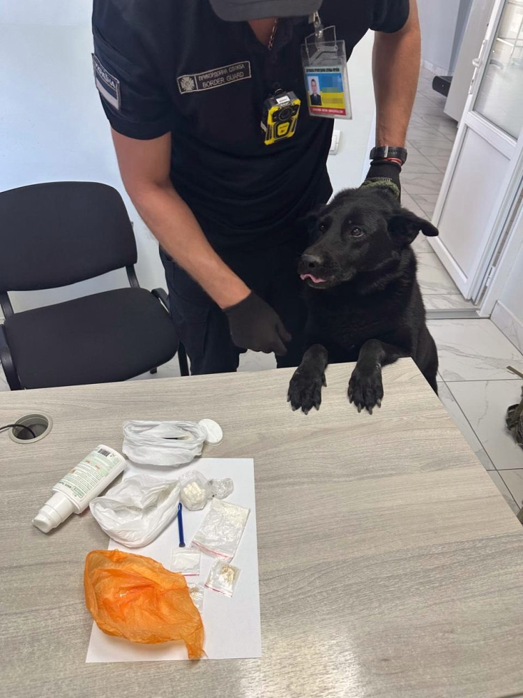 6891 image for slide