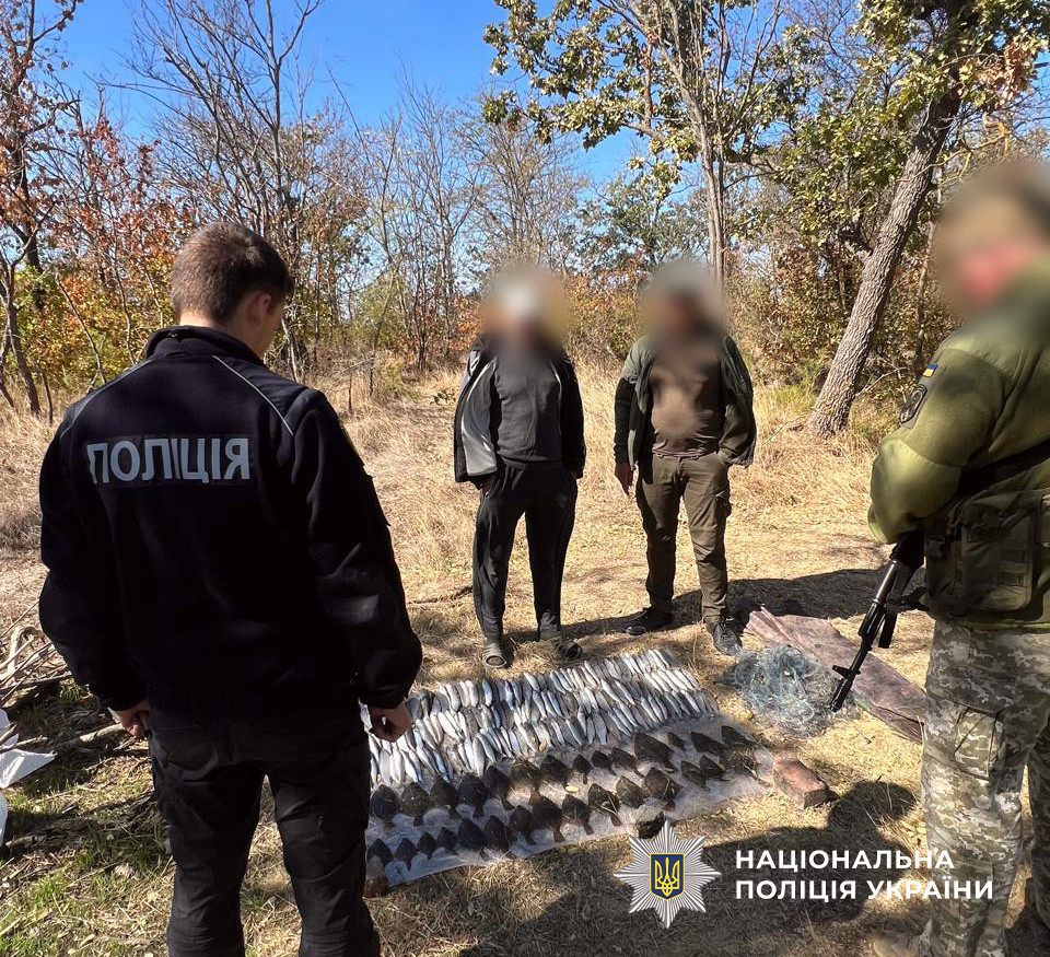 6972 image for slide