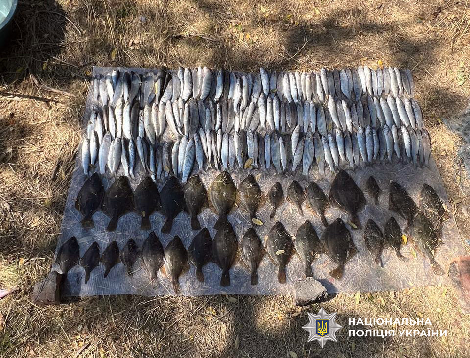 6973 image for slide