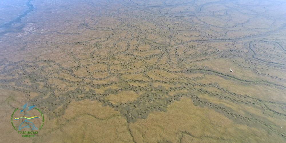 7077 image for slide