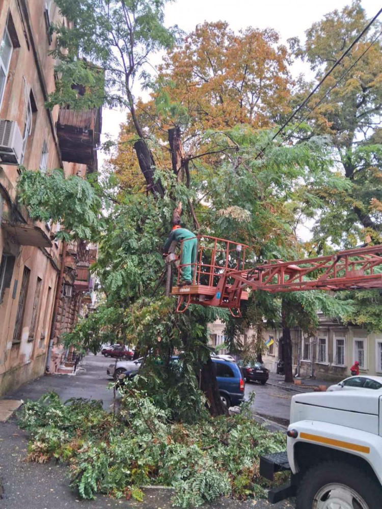 7139 image for slide