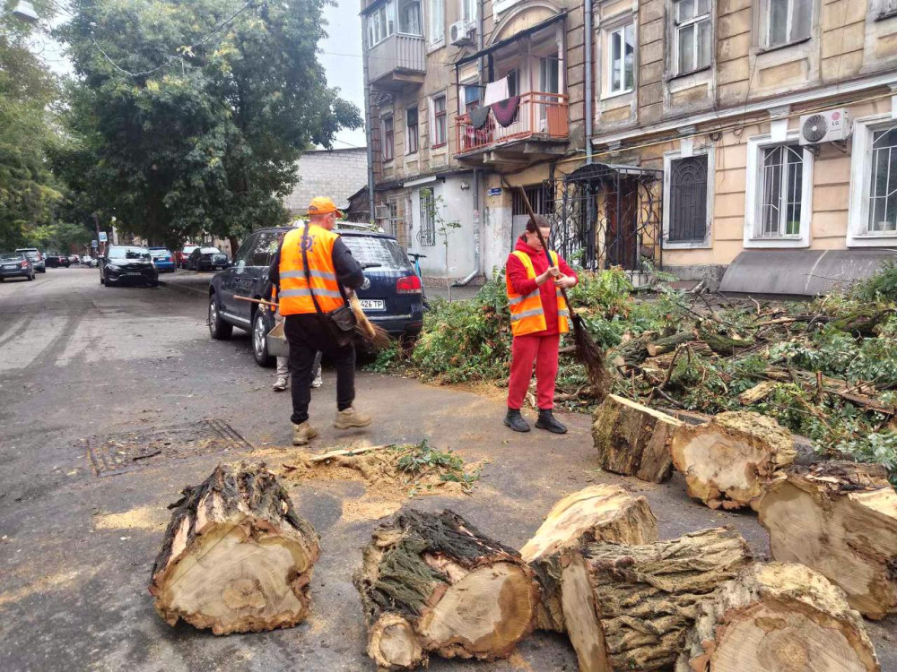 7145 image for slide