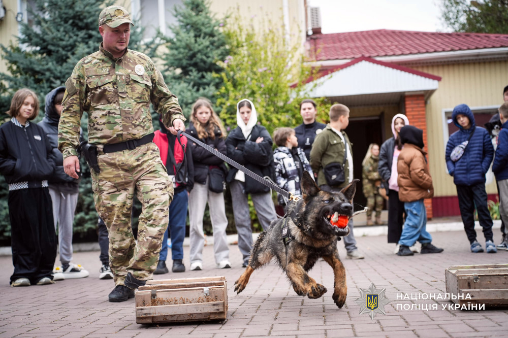 7231 image for slide